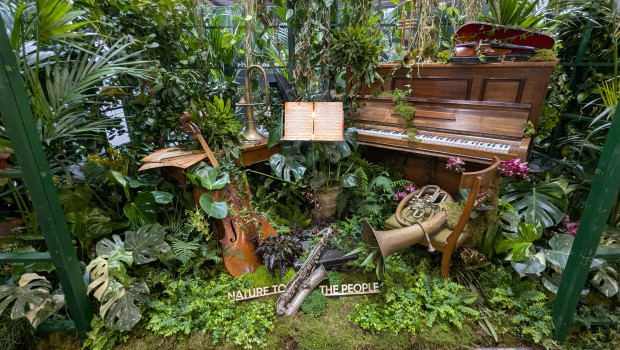 Grünpflanzen beeinflussen das Wohlbefinden auf vielfältige Weise, wie zuletzt auch eine Umfrage von Toom zeigt.