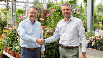 Chefwechsel bei Pflanzen-Kölle
