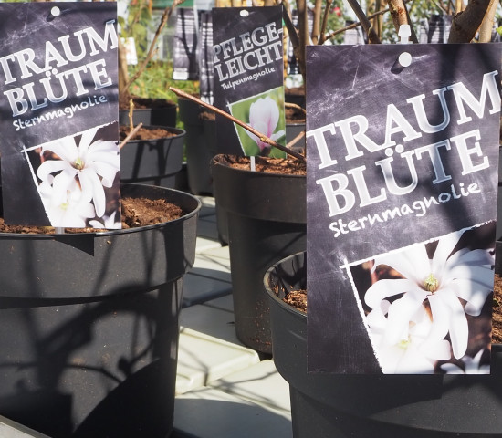 Die neuen Etiketten für Outdoor-Pflanzen stellen den jeweiligen Hauptnutzen einer Pflanzen heraus.
Die neuen Etiketten für Outdoor-Pflanzen stellen den jeweiligen Hauptnutzen einer Pflanzen heraus.