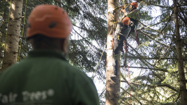 Toom Baumarkt und Fair Tree unterstützen Erntehelfer
