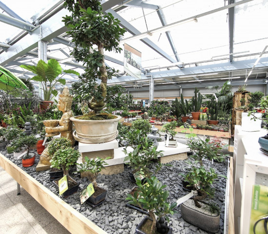 Verkaufsflächen des Dehner Garten-Centers in Pforzheim. Verkaufsflächen des Dehner Garten-Centers in Pforzheim.