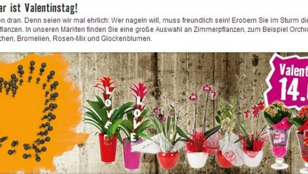 Die Valentisntag-Werbung von Hornbach in Österreich sorgte für harsche Reaktionen.