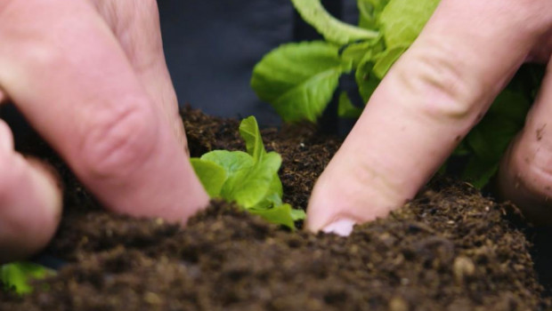 Imagefilm informiert über die Produktion von Blumenerden und Kultursubstraten.