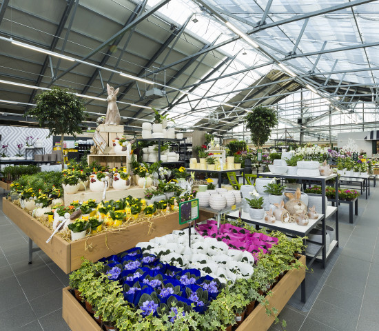 In Villach wurde eine dreischiffige Glashauskonstruktion neu errichtet. Foto: Rene Vidalli
