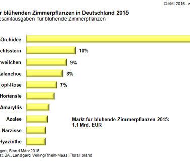AMI: Die Top 10 der blühenden Zimmerpflanzen.
AMI: Die Top 10 der blühenden Zimmerpflanzen.