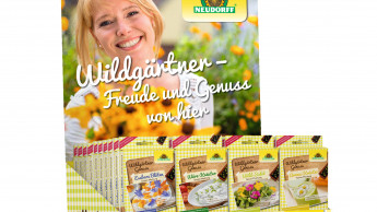 Neudorff geht wieder ins Fernsehen