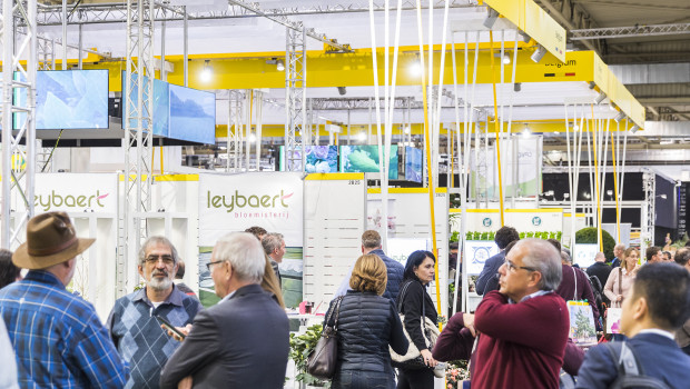 Aus Belgien kommen rund 70 Aussteller der IPM.