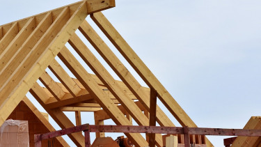 Holzhandel 2019 knapp ein Prozent im Plus