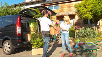 Dehner versendet jetzt auch Pflanzen und frischt seinen Shop auf Dehner versendet jetzt auch Pflanzen und frischt seinen Shop auf