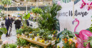 IPM Summer Edition erhält viel Zustimmung aus der grünen Branche