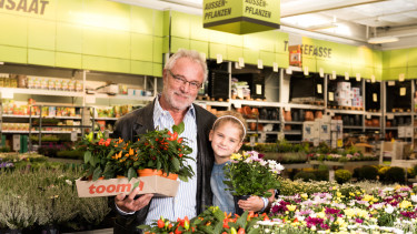 Toom hat nur noch Zierpflanzen aus Produktion ohne Neonicotinoide