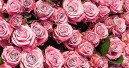 Blumen werden immer häufiger online gekauft