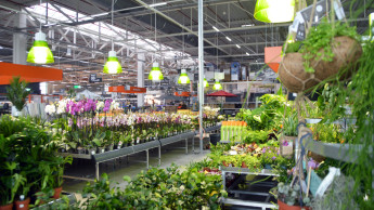 Garten-Schließungen nahmen zu