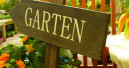 Nur noch leichtes Minus im Garten