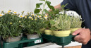 ZVG schließt sich Euro Plant Tray an ZVG schließt sich Euro Plant Tray an