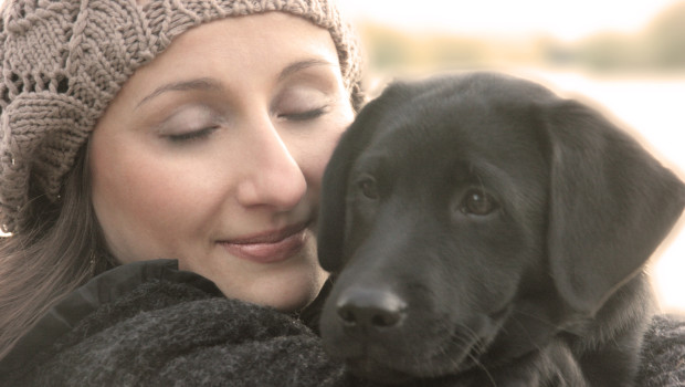 Hunde und Katzen gehören zu den beliebtesten Haustieren. Hunde und Katzen gehören zu den beliebtesten Haustieren.
