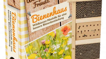 Wildbienen gezielt unterstützen