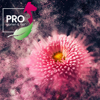 Die Austellerflächen der Fachmesse „PRO garten & tier“ in Kassel sind fast ausgebucht. Die Austellerflächen der Fachmesse „PRO garten & tier“ in Kassel sind fast ausgebucht.
