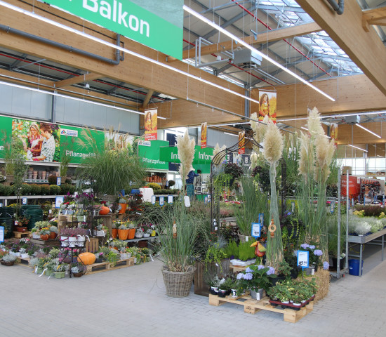 Vorgestellt wurde auf der Veranstaltung unter anderem ein neues Vertriebskonzept für Zimmerpflanzen, das an die jeweilige Größe des Gartencenters angepasst werden kann. Für kleinere Märkte sind vier Tische und ein Flächenbedarf von insgesamt 30m² vorgesehen, für mittlere sechs Tische und eine Fläche von 50m², für große Märkte zehn Tische und 80m². Über die Basissortimente hinaus werden Erweiterungssortimente wie ein separater Orchideentisch, Minipflanzen, Kakteen und weitere angeboten. Zusatzerträge sollen durch Sonderthemen wie an Muttertag generiert werden. Die Händler erhalten die Ware bereits preisausgezeichnet mit dem Eigenmarken-Logo Prima-Gärtnerqualität plus zwei Prozent Rückvergütung vom Lieferanten.
