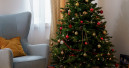 Weihnachtsbäume 2020 überwiegend aus Dänemark