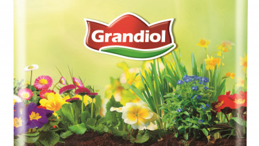 Blumen- und Pflanzensortiment von Lidl wird torffrei