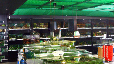 Mehr Hagebaumärkte mit Heimtiersortimenten