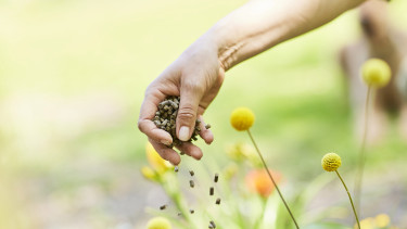 Mehr Bio – mehr Wirkung