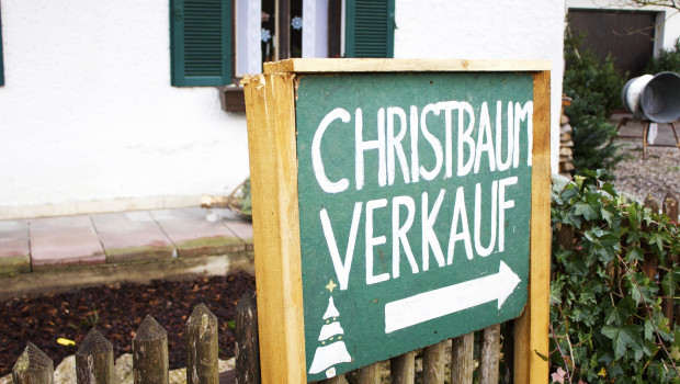 Weihnachten kann kommen: Es gibt genügend Weihnachtsbäume, versichern die Erzeugerverbände. Bild: Pixabay/Hannah Alkadi Weihnachten kann kommen: Es gibt genügend Weihnachtsbäume, versichern die Erzeugerverbände. Bild: Pixabay/Hannah Alkadi