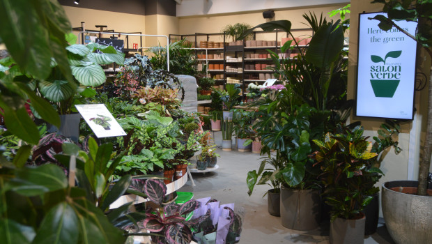 Der Salon Verde in der Landstraßer Hauptstraße in Wien ist der einzige noch verbleibende Standort dieses Innenstadtformats von Bellaflora.