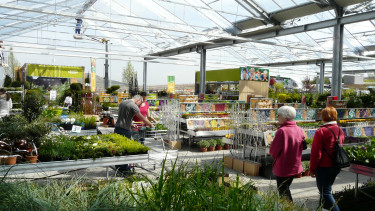 Einkauf von Pflanzen und Gartenbedarf rückläufig