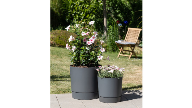 Scheurich, Untersetzer und Pflanzgefäß Scheurich, Untersetzer und Pflanzgefäß