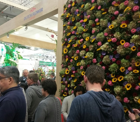 Insgesamt ist man in diesem Jahr bei der IPM mit der Besucherfrequenz zufrieden.
Insgesamt ist man in diesem Jahr bei der IPM mit der Besucherfrequenz zufrieden.