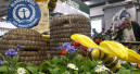 Messe Essen sieht großen Zuspruch für die IPM im Januar 2021