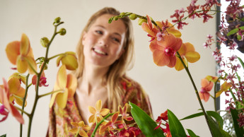 Orchideen-Kampagne: Glücksfaktor unterstreichen