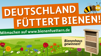 IVG unterstützt weiterhin Initiative „Bienen füttern!“