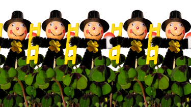 Mit Zuversicht ins DIY- und Gartenjahr 2022!