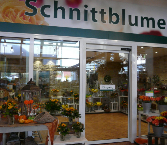 Schnittblumen