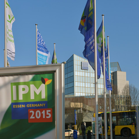 IPM 2015