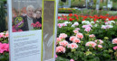 Online-Marktplatz für Gartencenter