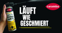Wieder in Bewegung