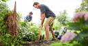 Der Garten: Last oder Lust?