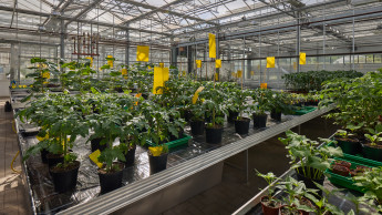 Wachstum mit Verantwortung