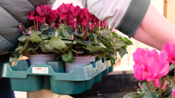 Ekaflor bekennt sich zum EPT-Mehrwegsystem