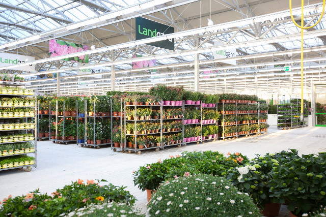 B & P Blumen Und Pflanzen Gmbh Wechsel von Bauhaus zu Landgard - diy online