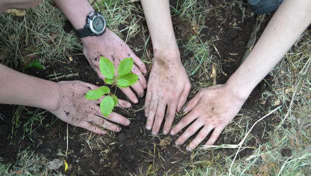 Das Unternehmen plant gemeinsame Baumpflanzaktionen mit der Initiative. 