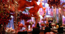 Etwas mehr Besucher kamen zur Christmasworld und Floradecora