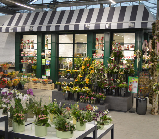 In Anif wird auch Floristik geboten - im neuen Landhaus-Auftritt der Schnittblumenabteilung.
