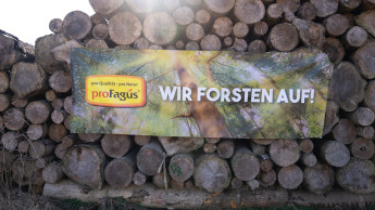 Pro Fagus: Aufforsten im Root Camp