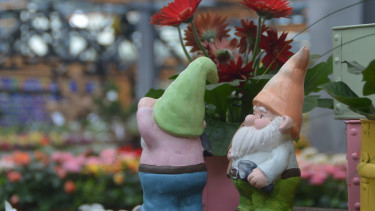 Leicht positivere Zahlen für Garten und Heimtier im August Leicht positivere Zahlen für Garten und Heimtier im August
