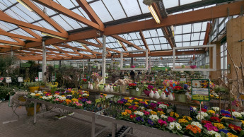 „Es war kein Jahr der Pflanze“